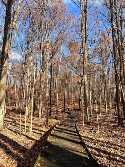 The Wilderness Center - Wilmot, OH