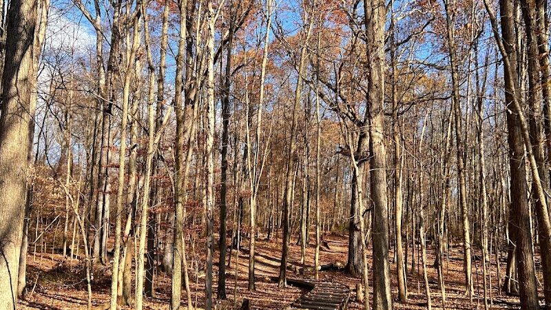 The Wilderness Center - Wilmot, OH