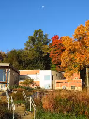 The Wilderness Center - Wilmot, OH