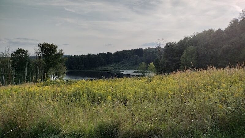 The Wilderness Center - Wilmot, OH