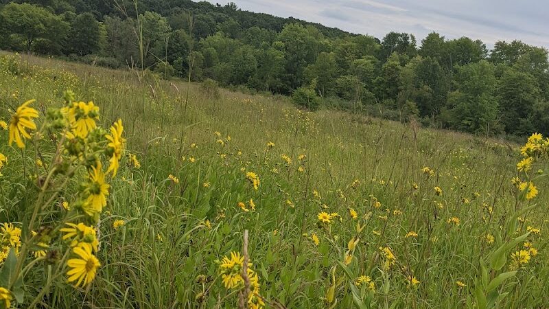 The Wilderness Center - Wilmot, OH