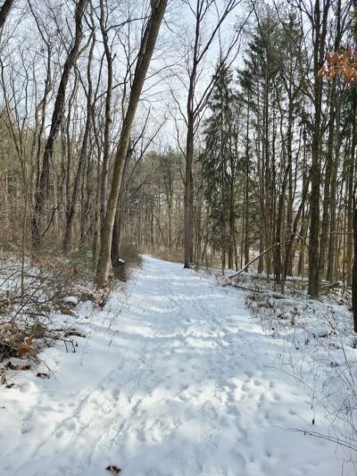 The Wilderness Center - Wilmot, OH
