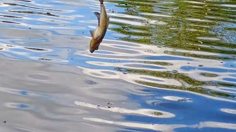 Winchester Reservoir - Winchester, OH