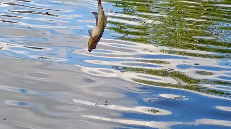 Winchester Reservoir - Winchester, OH