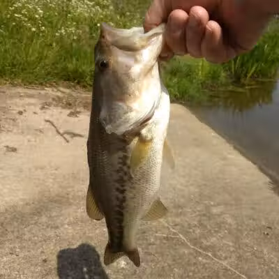 Winchester Reservoir - Winchester, OH