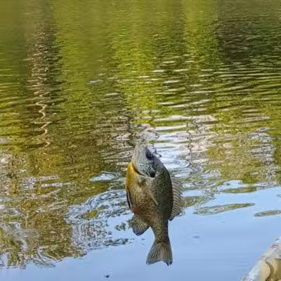 Winchester Reservoir - Winchester, OH