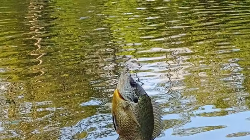 Winchester Reservoir - Winchester, OH