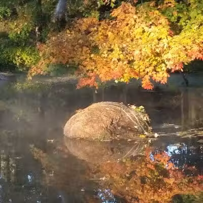 Winchester Reservoir - Winchester, OH