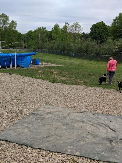 Duke's K9 Dash N' Splash - Windham, OH