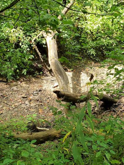 Historic Hune Covered Bridge Campground - Wingett Run, OH