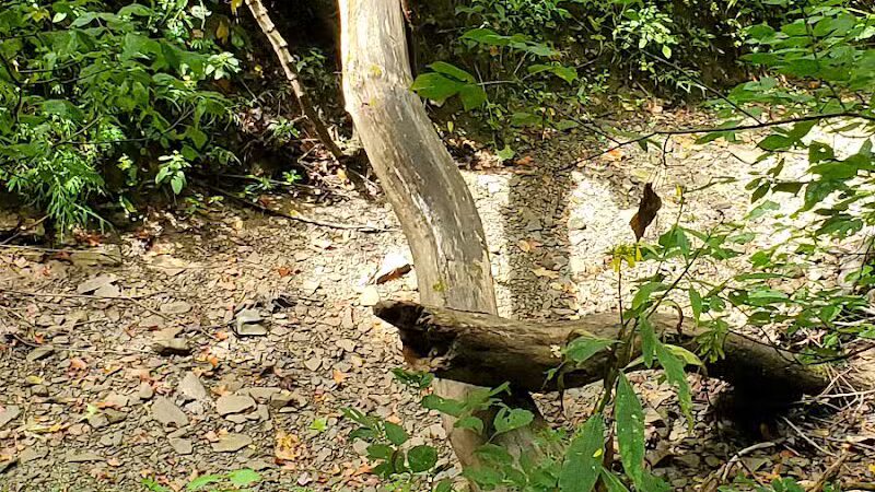 Historic Hune Covered Bridge Campground - Wingett Run, OH