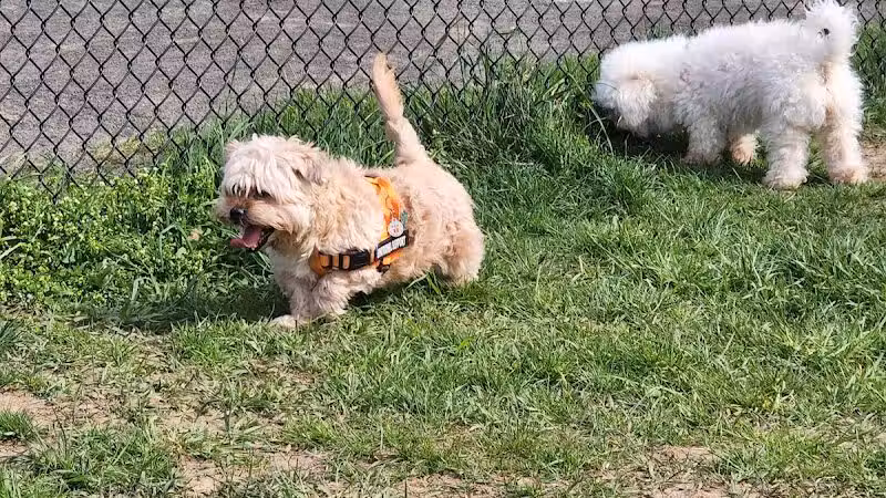 Woodbridge Dog Park - Woodbridge, CT