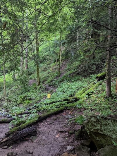 Piatt Park Gorge and Cave Area - Woodsfield, OH
