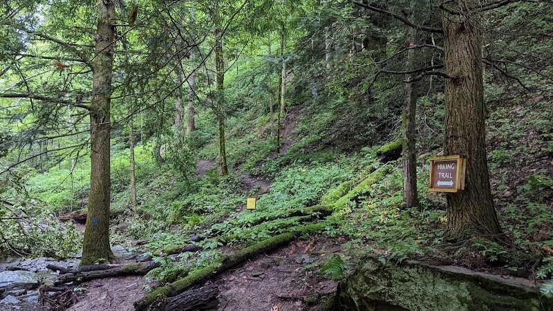 Piatt Park Gorge and Cave Area - Woodsfield, OH