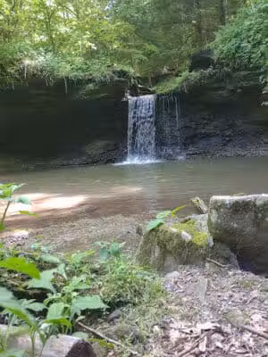 Piatt Park Gorge and Cave Area - Woodsfield, OH