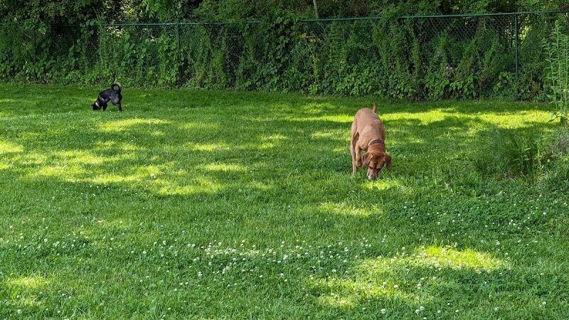 Wooster Dog Park - Wooster, OH