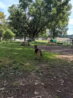 Wooster Dog Park - Wooster, OH