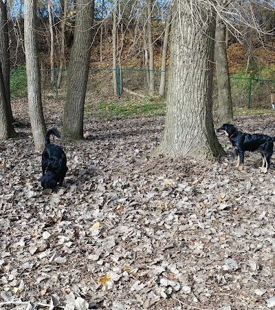 Wooster Dog Park - Wooster, OH