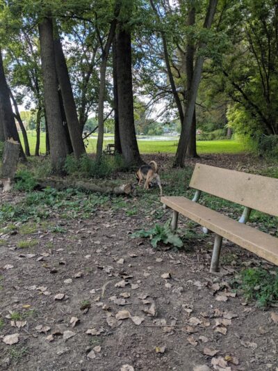 Wooster Dog Park - Wooster, OH