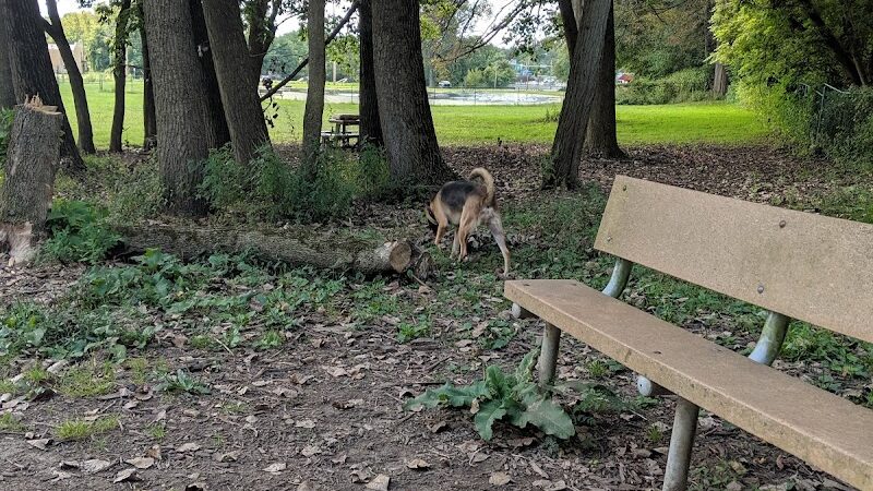Wooster Dog Park - Wooster, OH