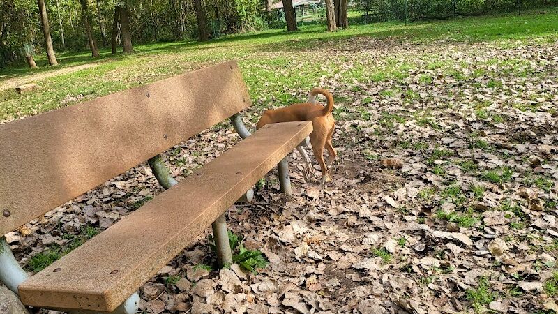 Wooster Dog Park - Wooster, OH