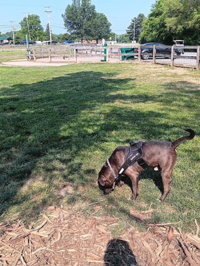 Pierce Park - Xenia, OH