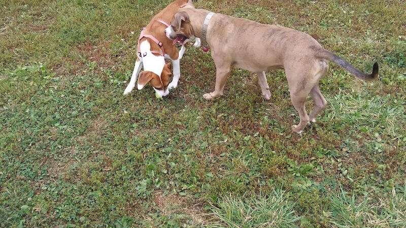 Pierce Park - Xenia, OH