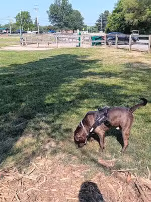 Pierce Park - Xenia, OH