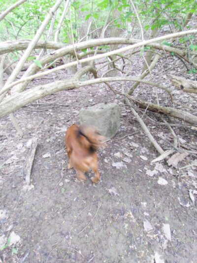 Pierce Park - Xenia, OH