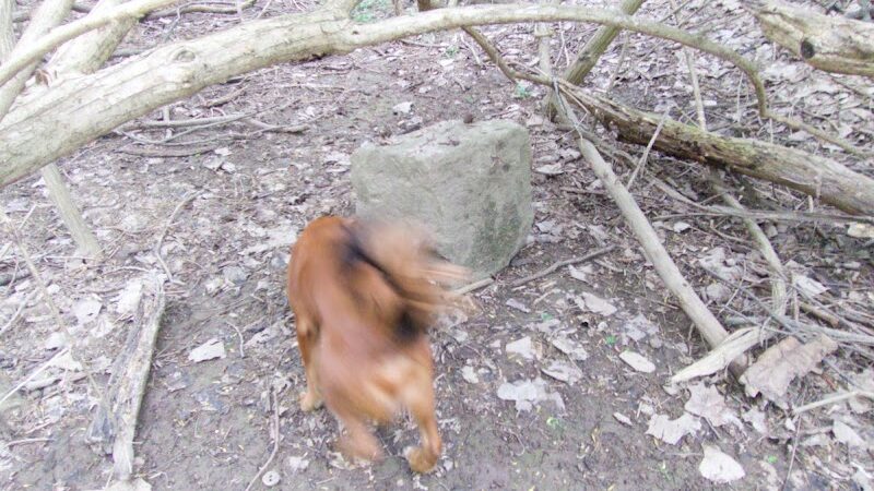 Pierce Park - Xenia, OH