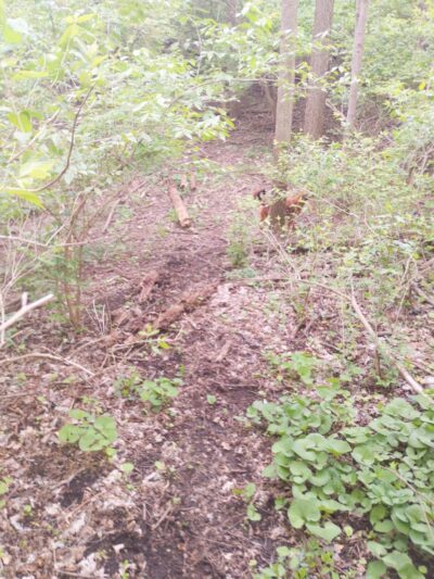 Pierce Park - Xenia, OH