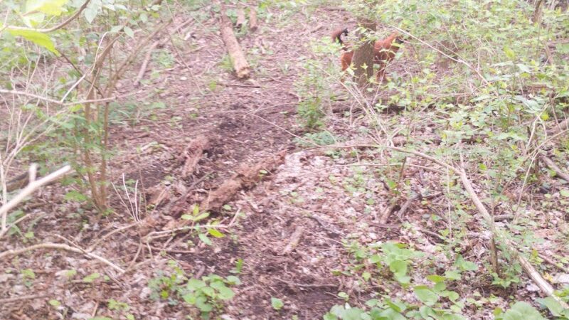 Pierce Park - Xenia, OH