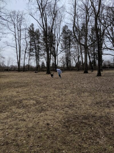 Pierce Park - Xenia, OH