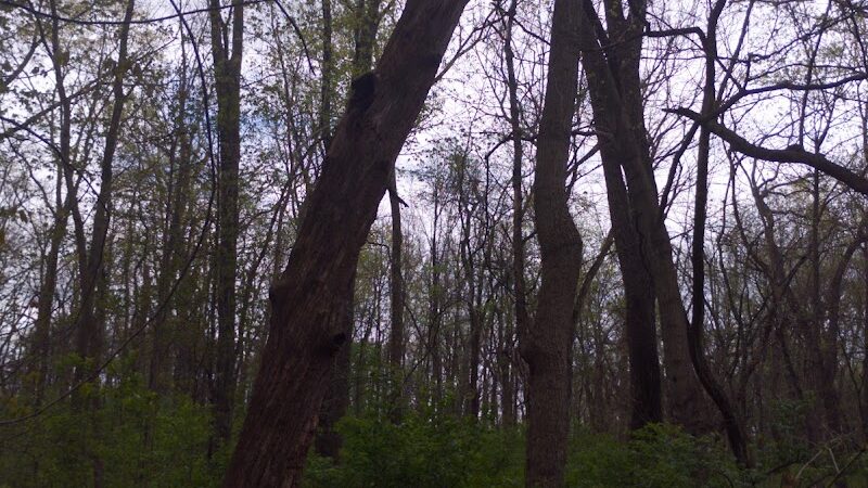 Pierce Park - Xenia, OH