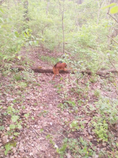 Pierce Park - Xenia, OH