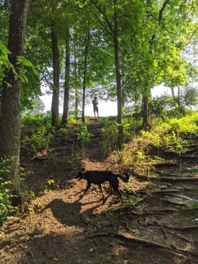 Scout Dog Park - Xenia, OH