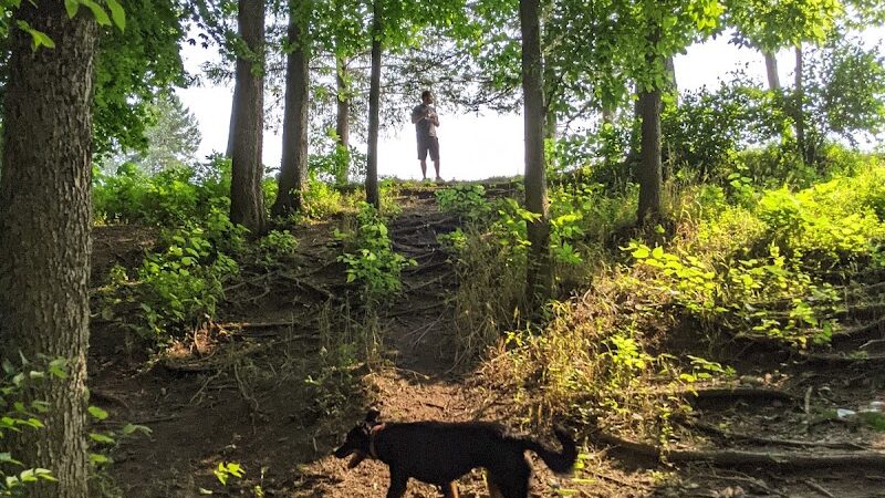 Scout Dog Park - Xenia, OH