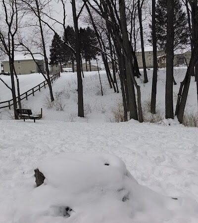 Scout Dog Park - Xenia, OH