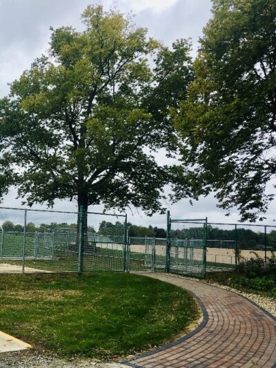 Yellow Springs Dog Park - Yellow Springs, OH