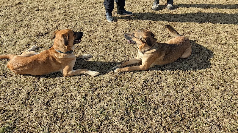 Yellow Springs Dog Park - Yellow Springs, OH