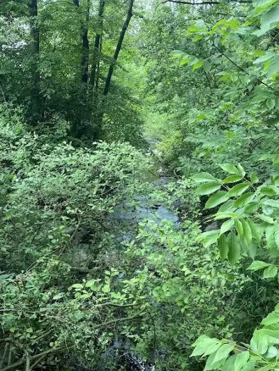 Churchhill Park - Youngstown, OH