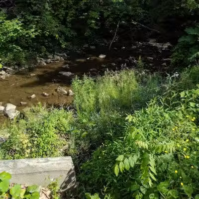 Churchhill Park - Youngstown, OH