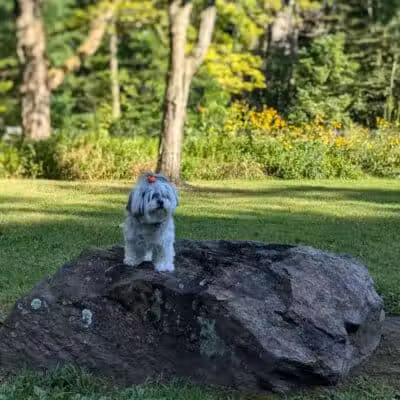 Churchhill Park - Youngstown, OH