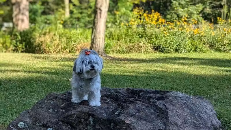 Churchhill Park - Youngstown, OH