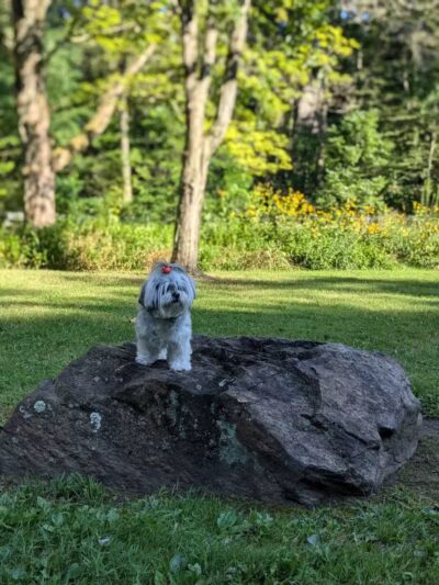 Churchhill Park - Youngstown, OH