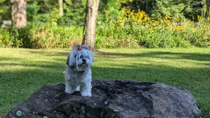 Churchhill Park - Youngstown, OH