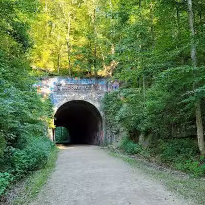 Zaleski State Forest - Zaleski, OH