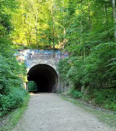 Zaleski State Forest - Zaleski, OH