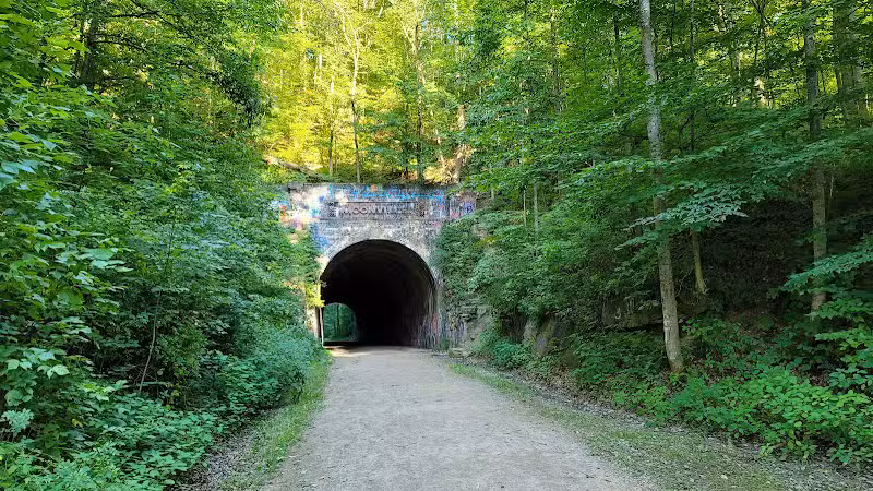 Zaleski State Forest - Zaleski, OH