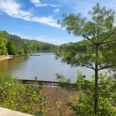 Zaleski State Forest - Zaleski, OH